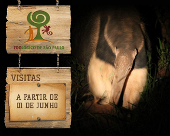 Passeio Noturno no Zoológico